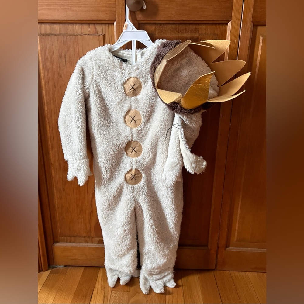 2T Where The Wild Things Are Max costume from Pottery Barn Kids!